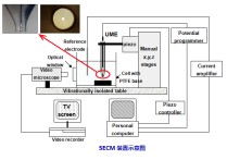 生物電化學怎么樣 生物化學研究內容主要包括