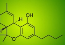 有機合成有哪些方向 有機化學能學到什么