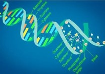 生物科學(xué)類 生物專業(yè)包括哪些具體專業(yè)