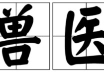 自學(xué)獸醫(yī)需要看什么書籍 官方獸醫(yī)要學(xué)哪幾部分知識(shí)