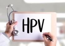 宮頸hpv hpv與宮頸癌關系科普