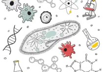 生物科學(xué)專業(yè)大學(xué)排名 985大學(xué)排名表