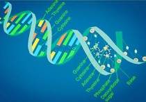 生化專業(yè)研究什么作用 化學生物的主要研究方向