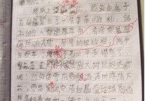 高考作文補習(xí) 高中作文參考書有哪些