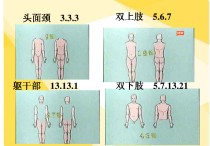 醫(yī)學333是什么部位 心動的信號7位數(shù)是什么意思