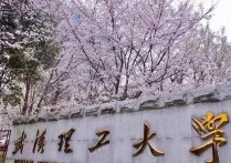 武漢理工建筑學(xué)怎么樣 武漢理工大學(xué)的建筑學(xué)還可以吧？