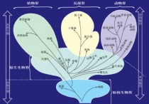 科目生物是什么 選考生物化學(xué)科上什么大學(xué)