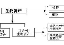 農(nóng)作物屬于什么科目 農(nóng)業(yè)果園會計賬務處理