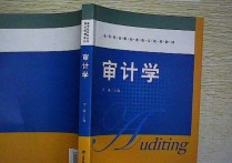 審計類包括哪些專業(yè) 財務(wù)管理專業(yè)和審計專業(yè)哪個好