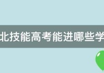 湖北技能高考 湖北職高高考能考什么大學(xué)