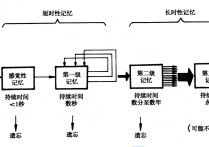 記憶心理學特點是什么 心理學中記憶與學習有什么聯(lián)系